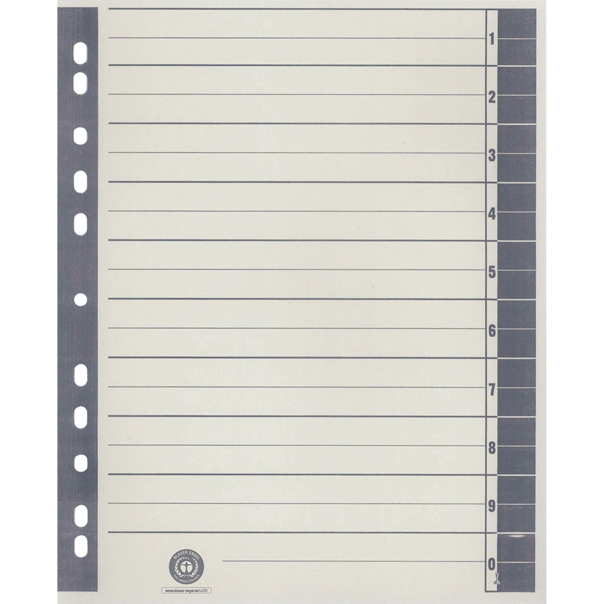 Trennblatt  RC A4 ch/gr 100St