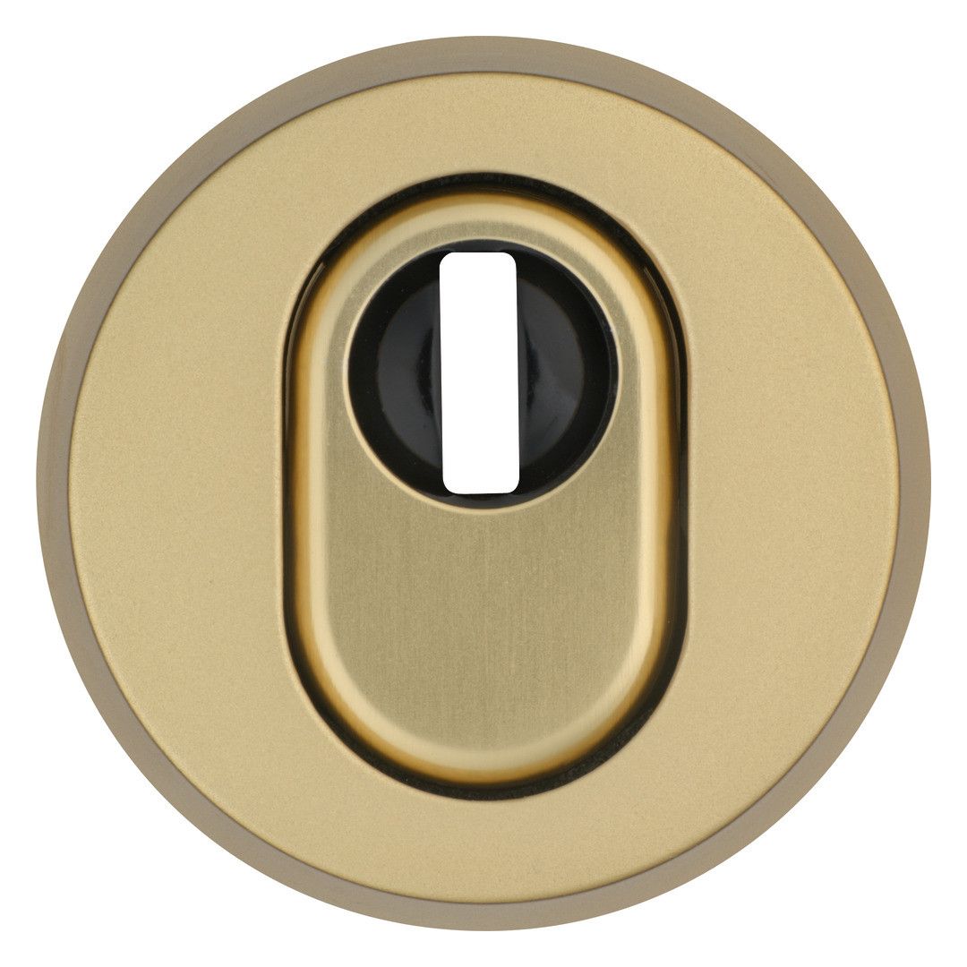 ABUS Schutzrosette "RHZS415 F3 EK"