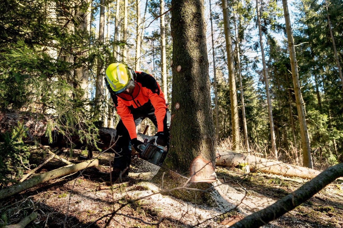 Akku-Kettensäge solo MS 36-18 LTX BL 40 Metaboohne Akku ohne Ladegerät Karton