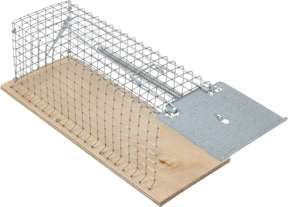 Lebend-Rattenfalle 30x12x13 cm Drahtkäfig Classic Classic