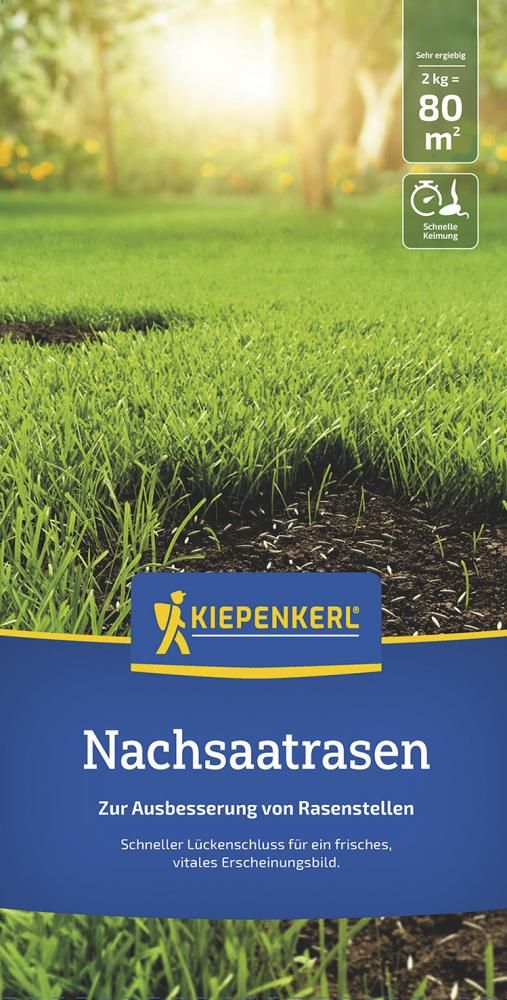 Nachsaatrasen Kiepenkerl 2 kg