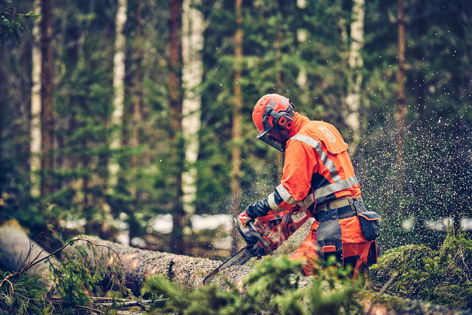 Husqvarna Motorsäge 560 XP® G Mark II 18"