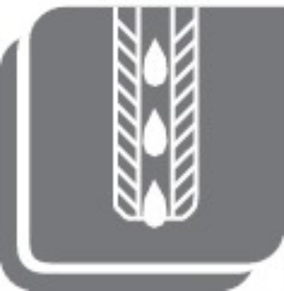GFS Führungszapfen, "Gr. 2"