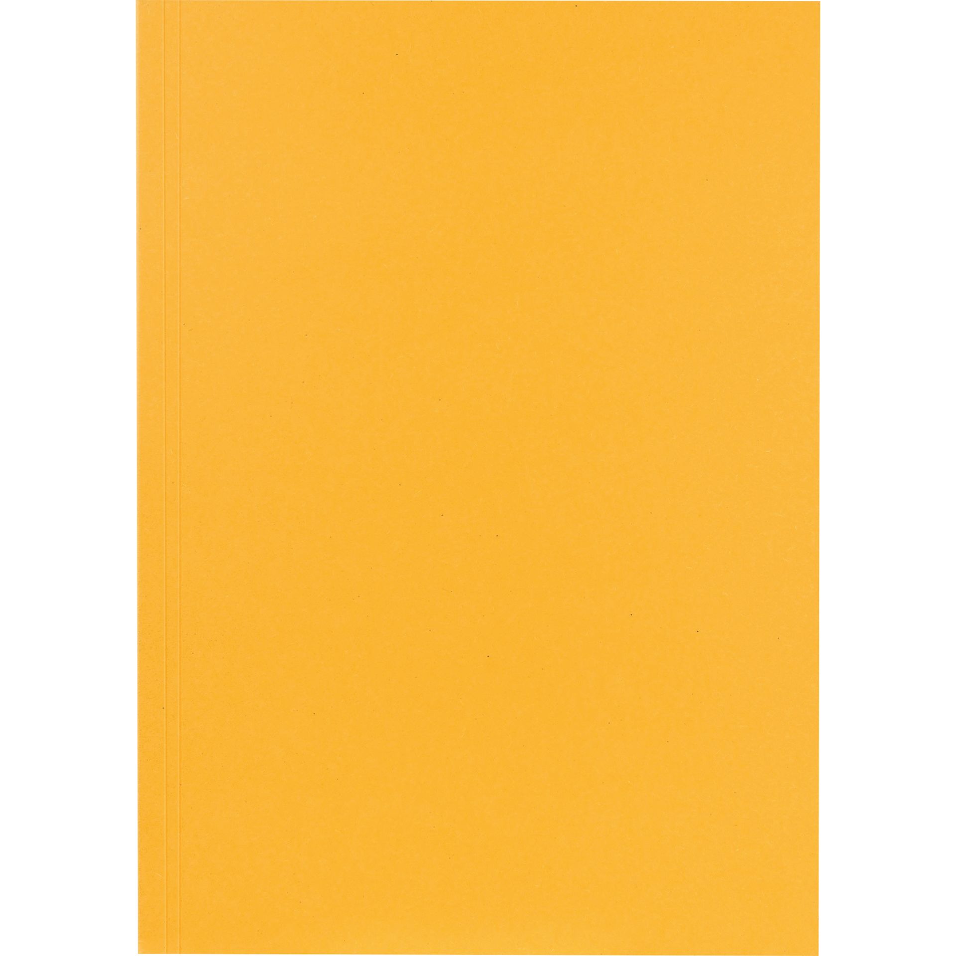 Aktendeckel 23x31,8cm 250g ge 100 St./Pack.