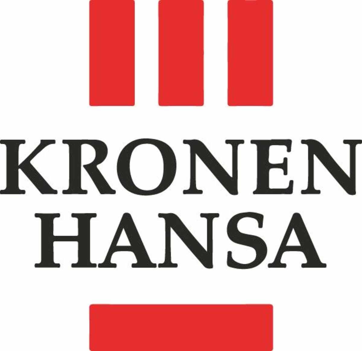 Universal-Fugenspachtel Silifix Nr.5012001 KronenKRONEN HANSA