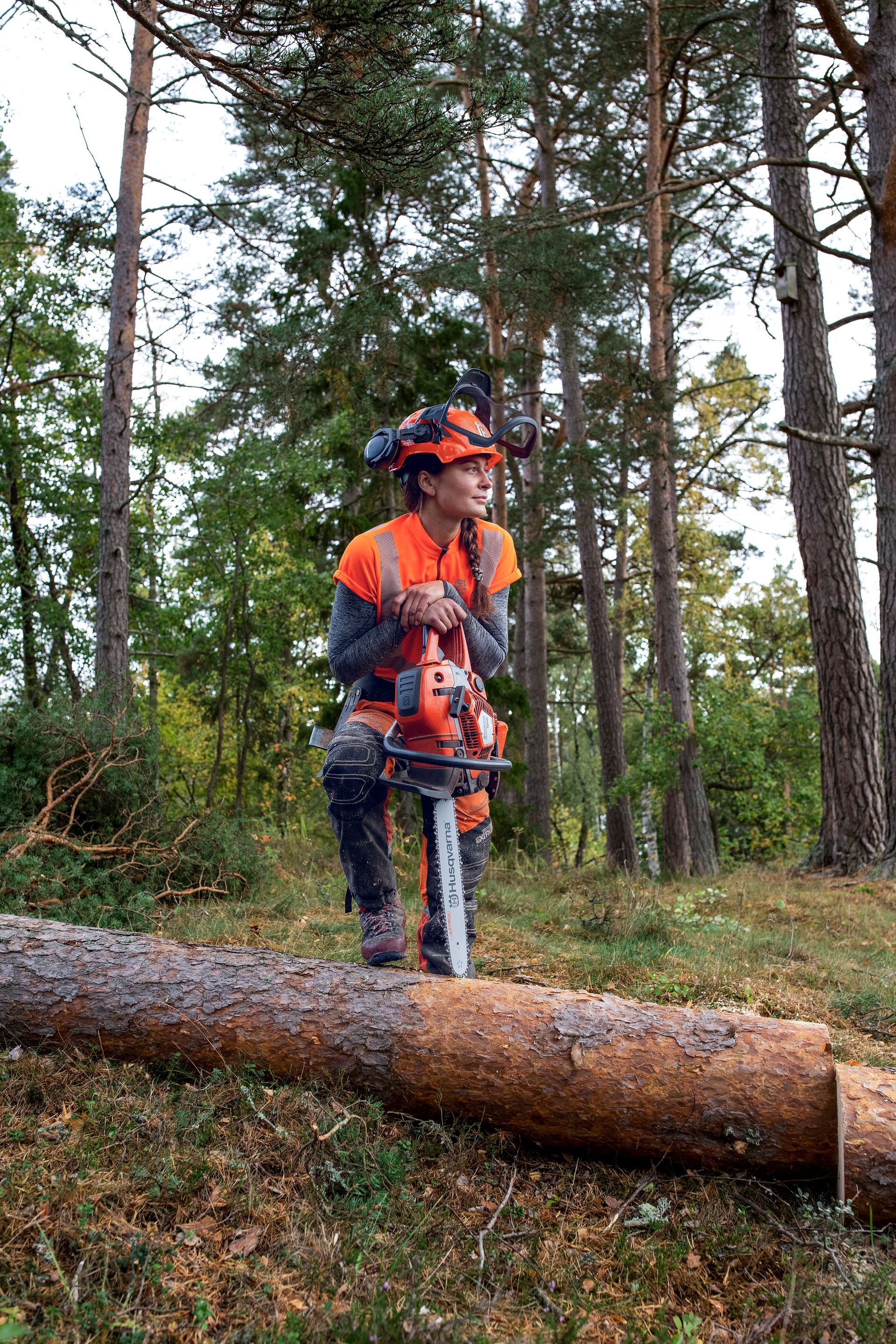 Husqvarna Motorsäge 550XP®  Mark II 18"