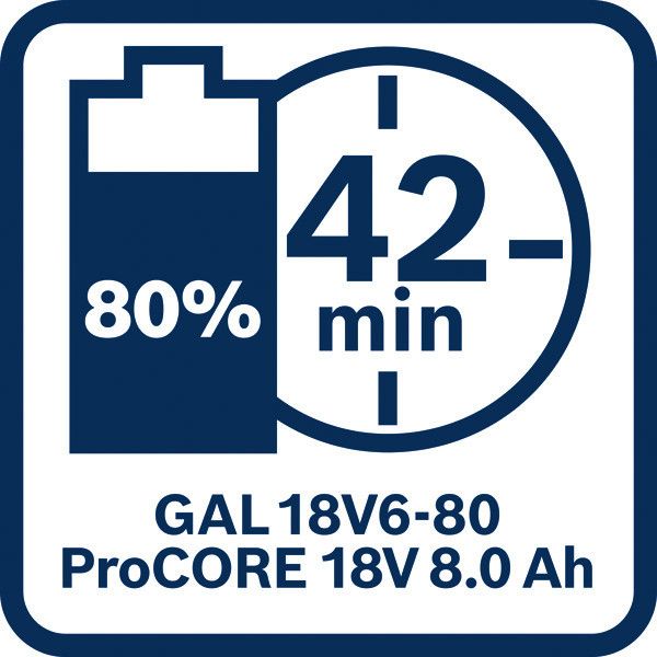 BOSCH Multi-Akkuladegerät, 230V