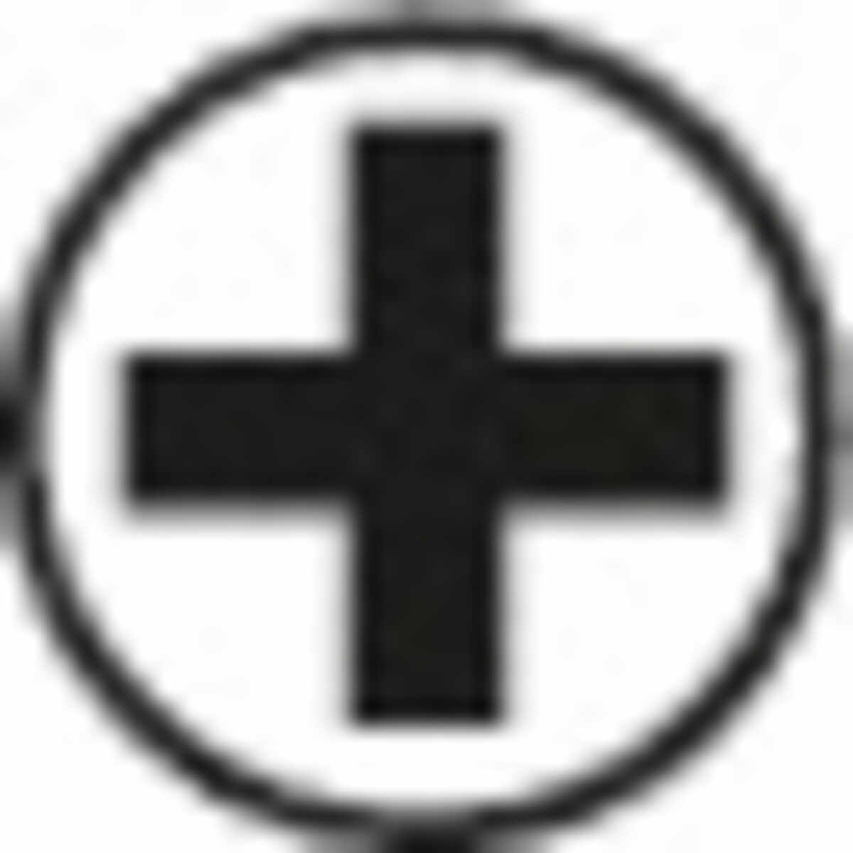 Icon: sgn_pc_kreuzschlitz_ph__seal.jpg