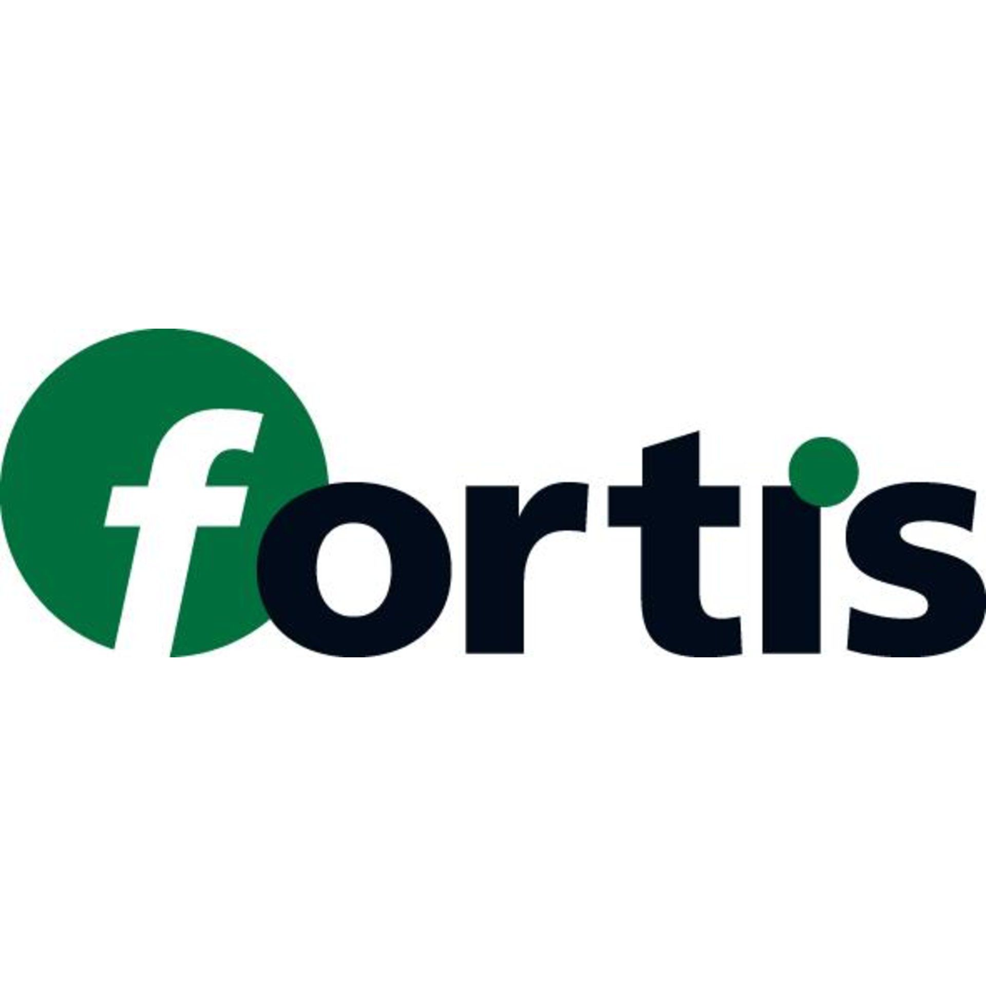 FORTIS Nageleisen 380mm ultraflach