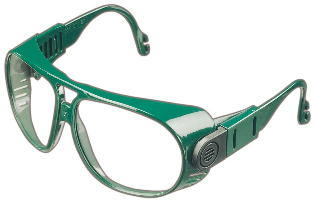 Ersatzgläser für Brille