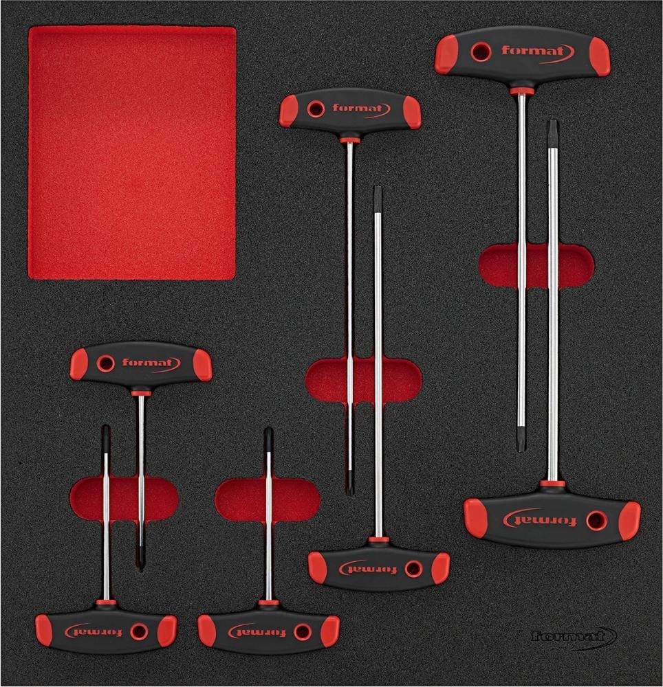 Werkzeugmodul 2/3 T-Griff Torx FORMAT