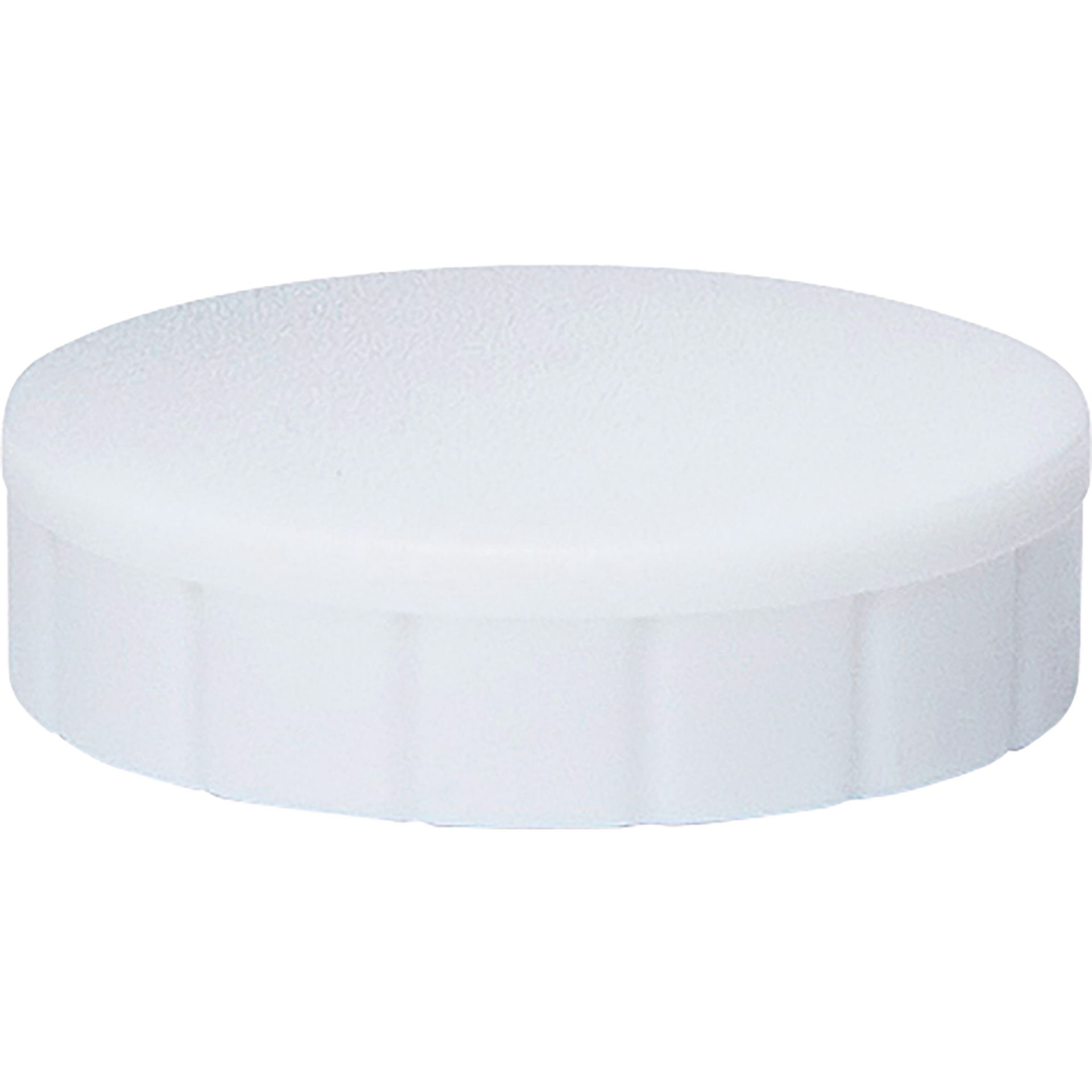 Magnet solid 24mm ws 10St