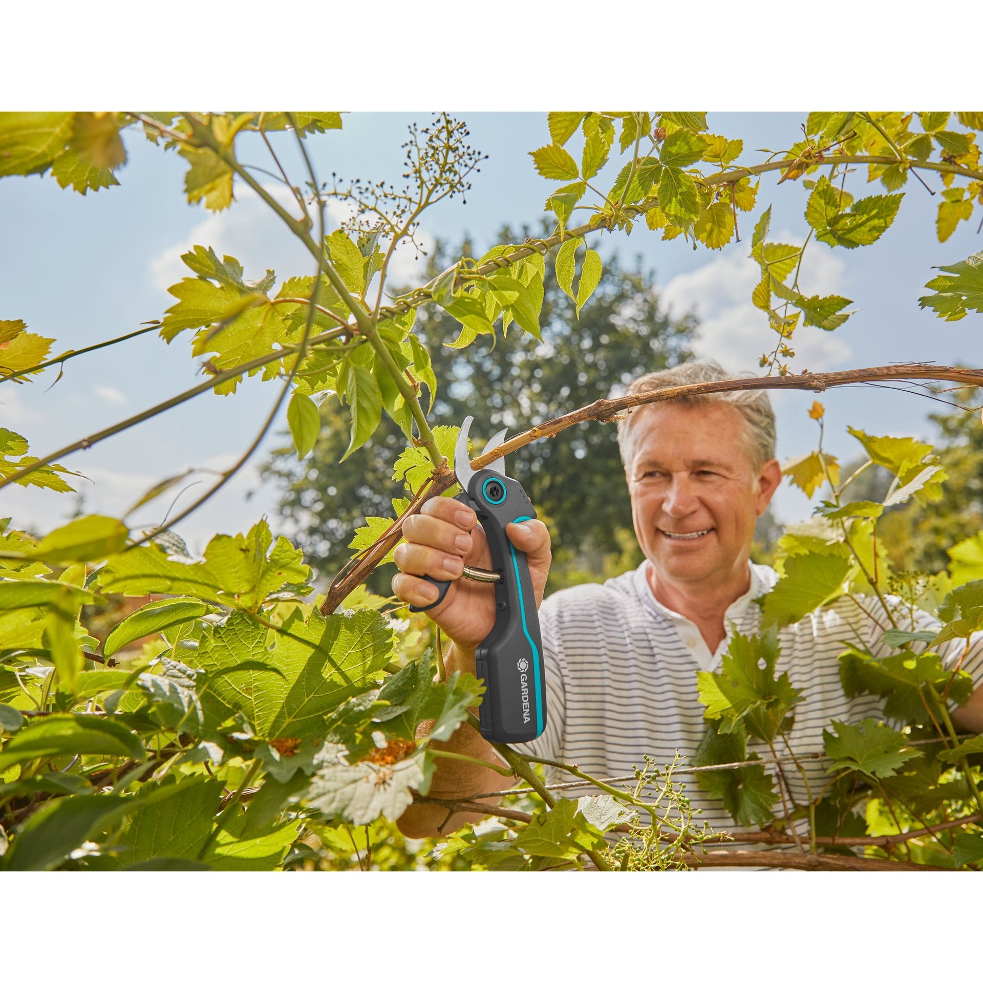 Gartenschere AssistCut