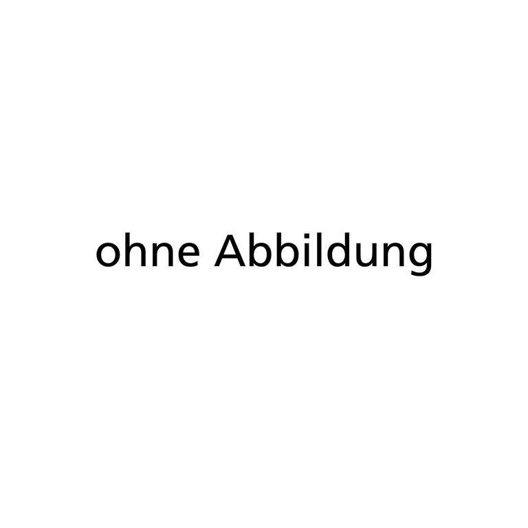 SCHNEIDER Druckluft-Farbspritzpistole
