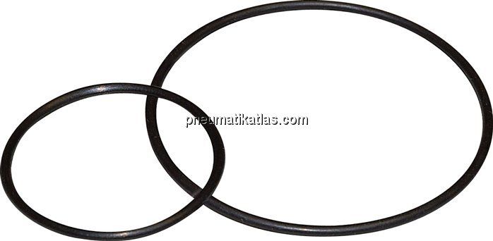 O-Ring für Behälter Baureihe Standard 1