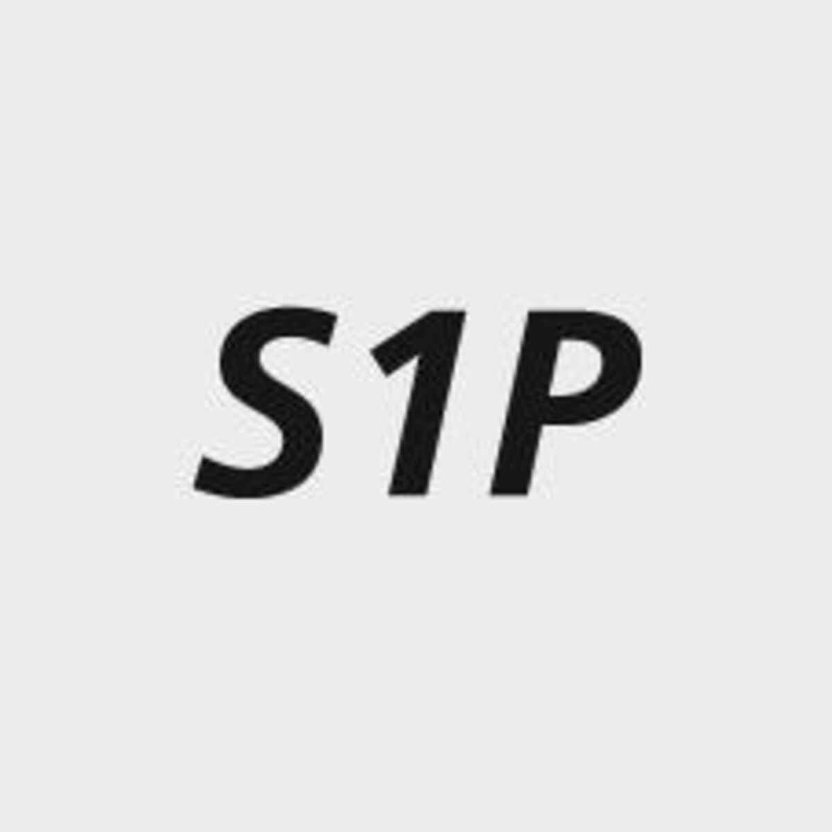 Icon: lag487770.jpg