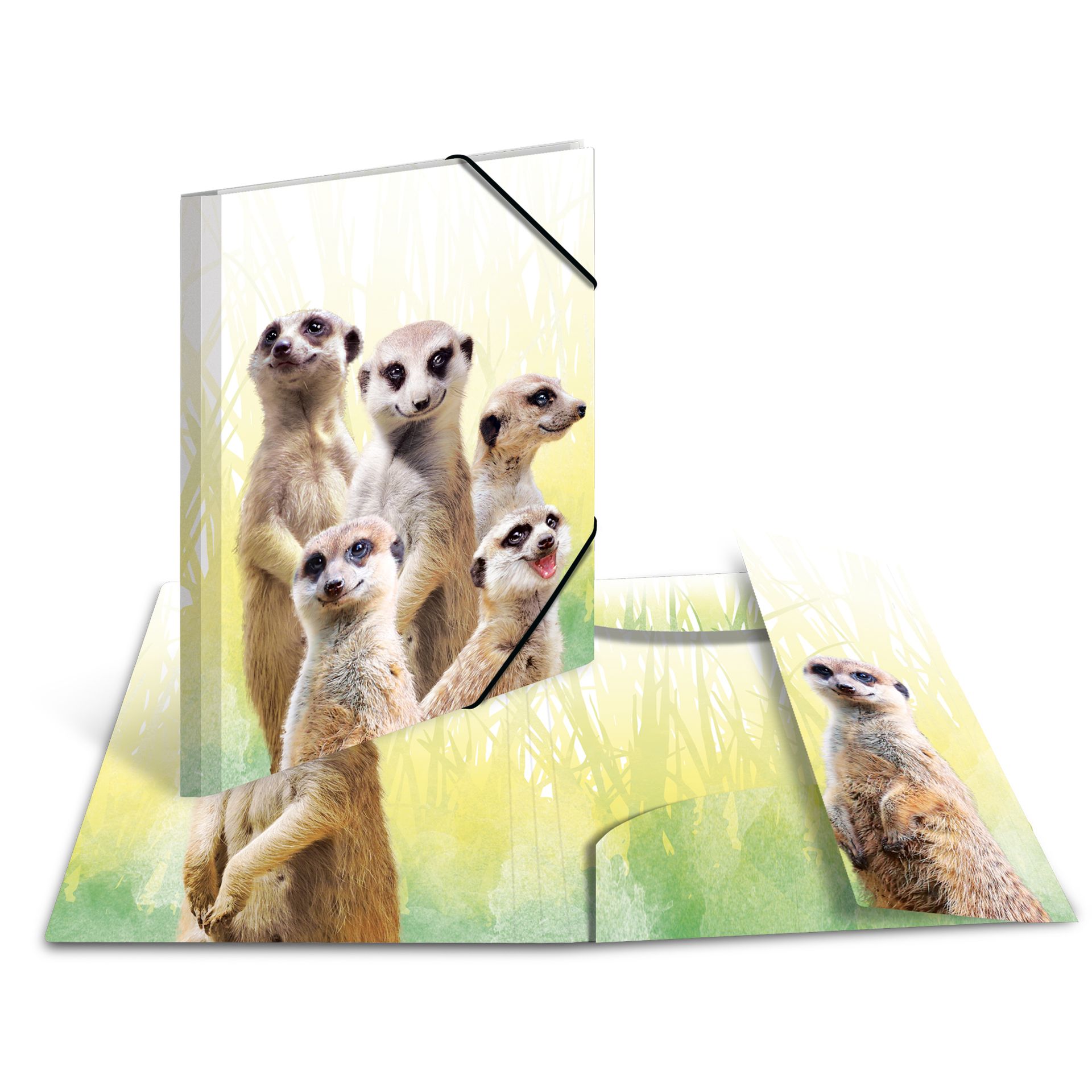 Sammelmappe A3 PP Erdmännchentruppe