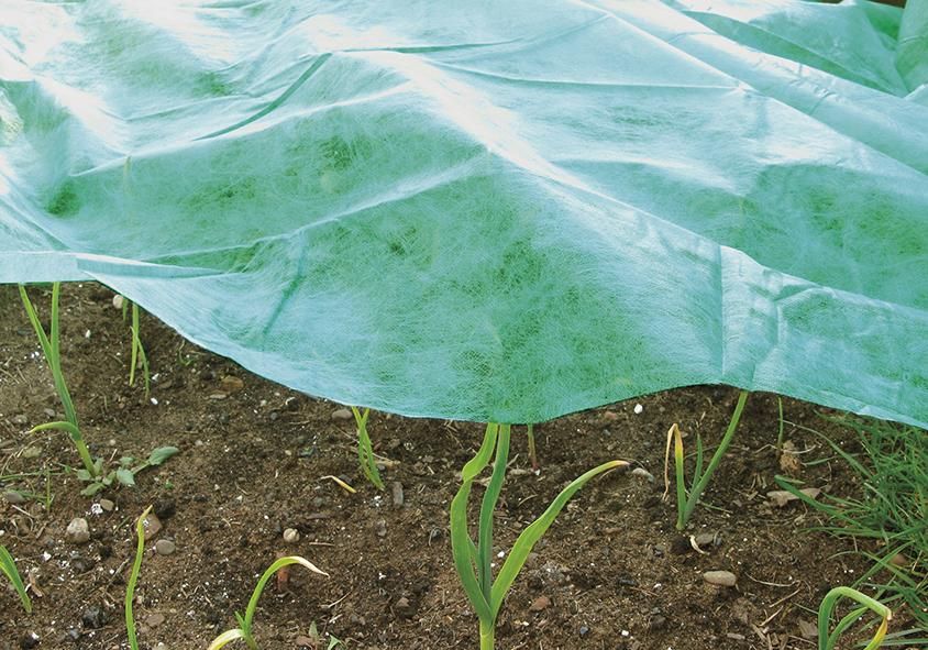 Frühbeetvlies Classic 10x2m,20g/m2,grün