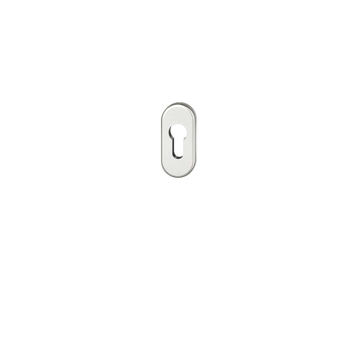 PZ Rosette oval Aluminium naturfarbig