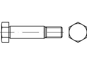 DIN 610 10.9 M 12 x 60 SW 18 S