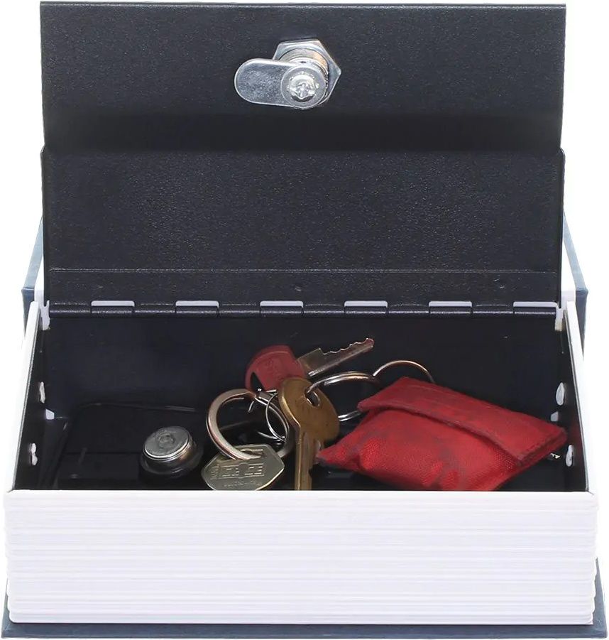 ROTTNER Buchtresor Book Case Blue
