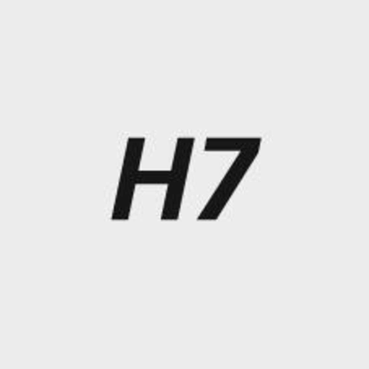 Icon: lag486549.jpg