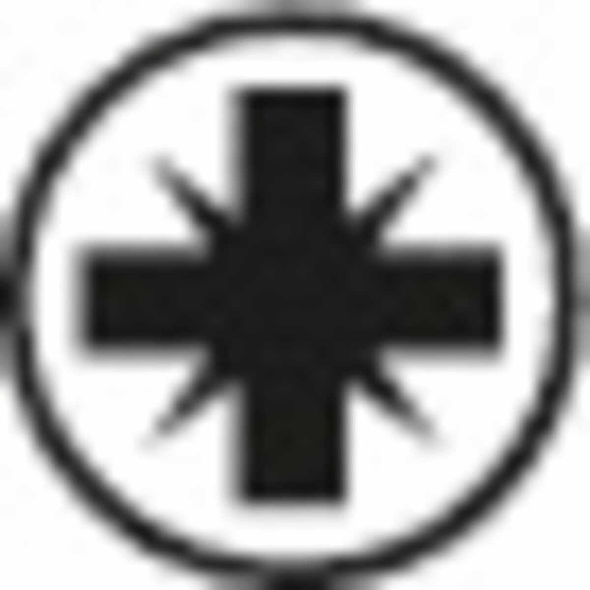 Icon: sgn_pc_kreuzschlitz_pz__seal.jpg