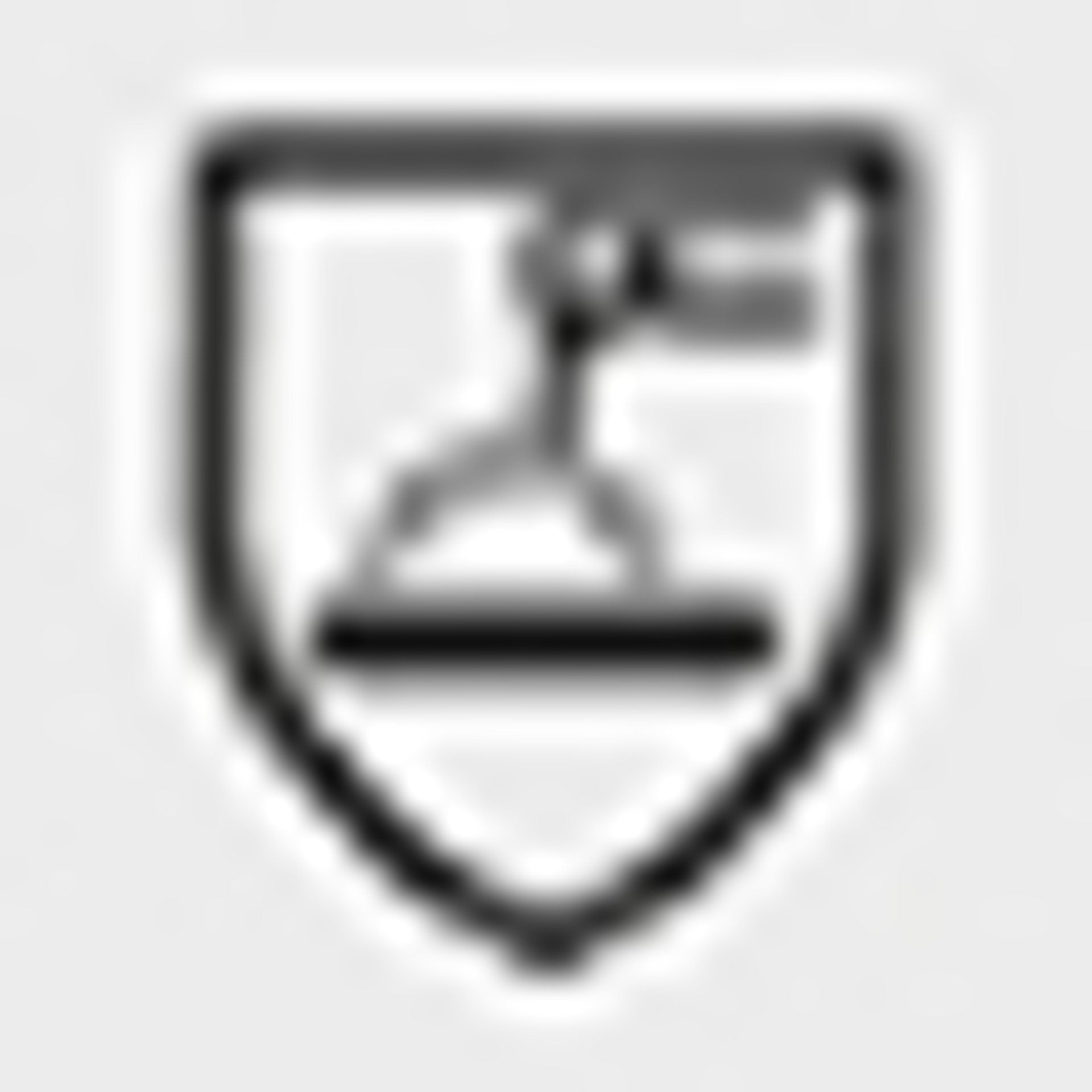 Icon: nextPIM_6CBD4E1D1F2EAF3633435DF8E8F2EE81B44712E7179E2E8FD6FF501456637AC7_106522.jpg