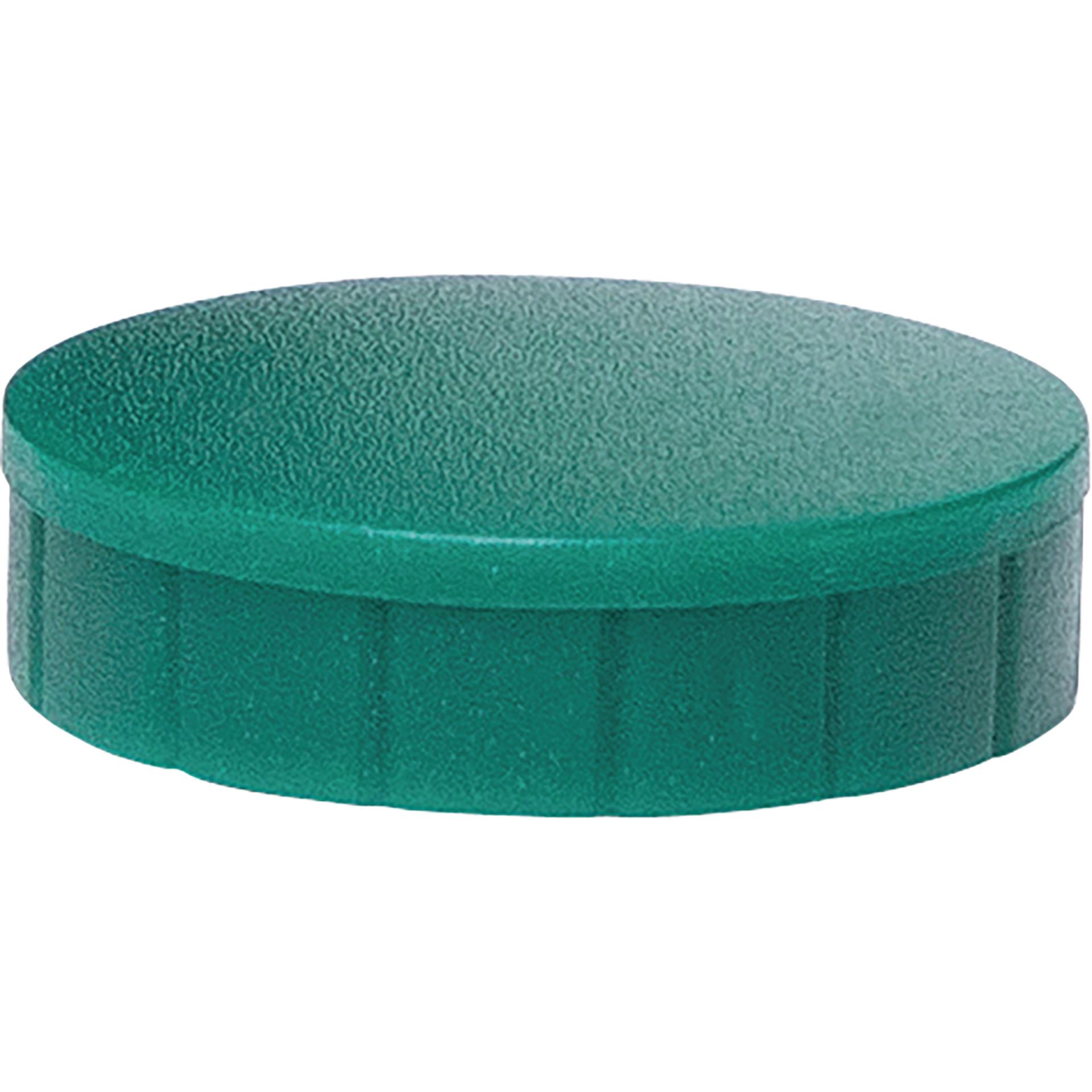 Magnet solid 24mm gn 10St