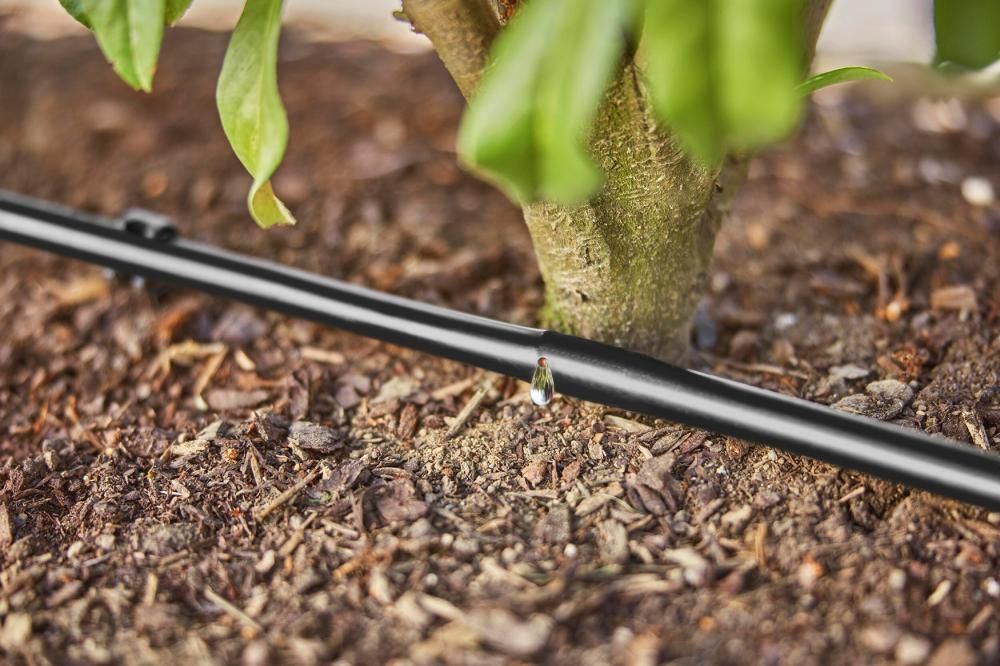 Tropfwässerung-Set Hecke/Sträucher (25 m)