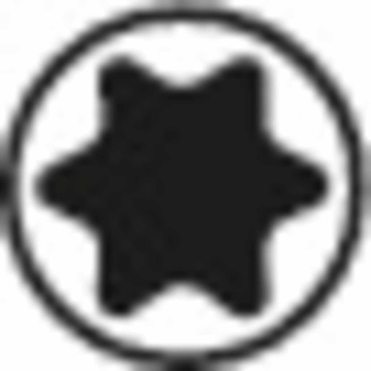 Icon: sgn_pc_innen_torx__seal.jpg