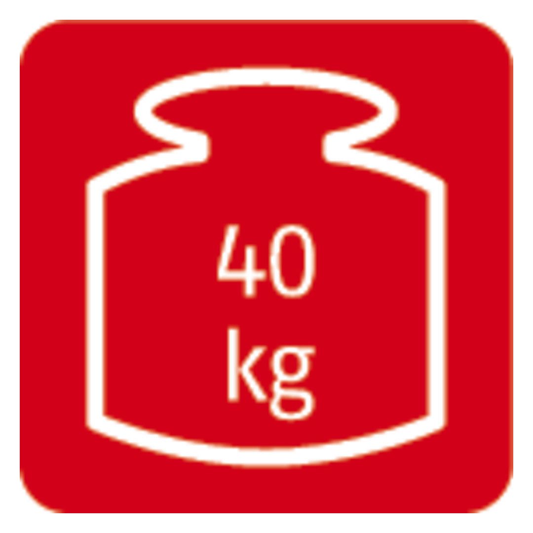 ABUS Türschließer "AC4100 S"