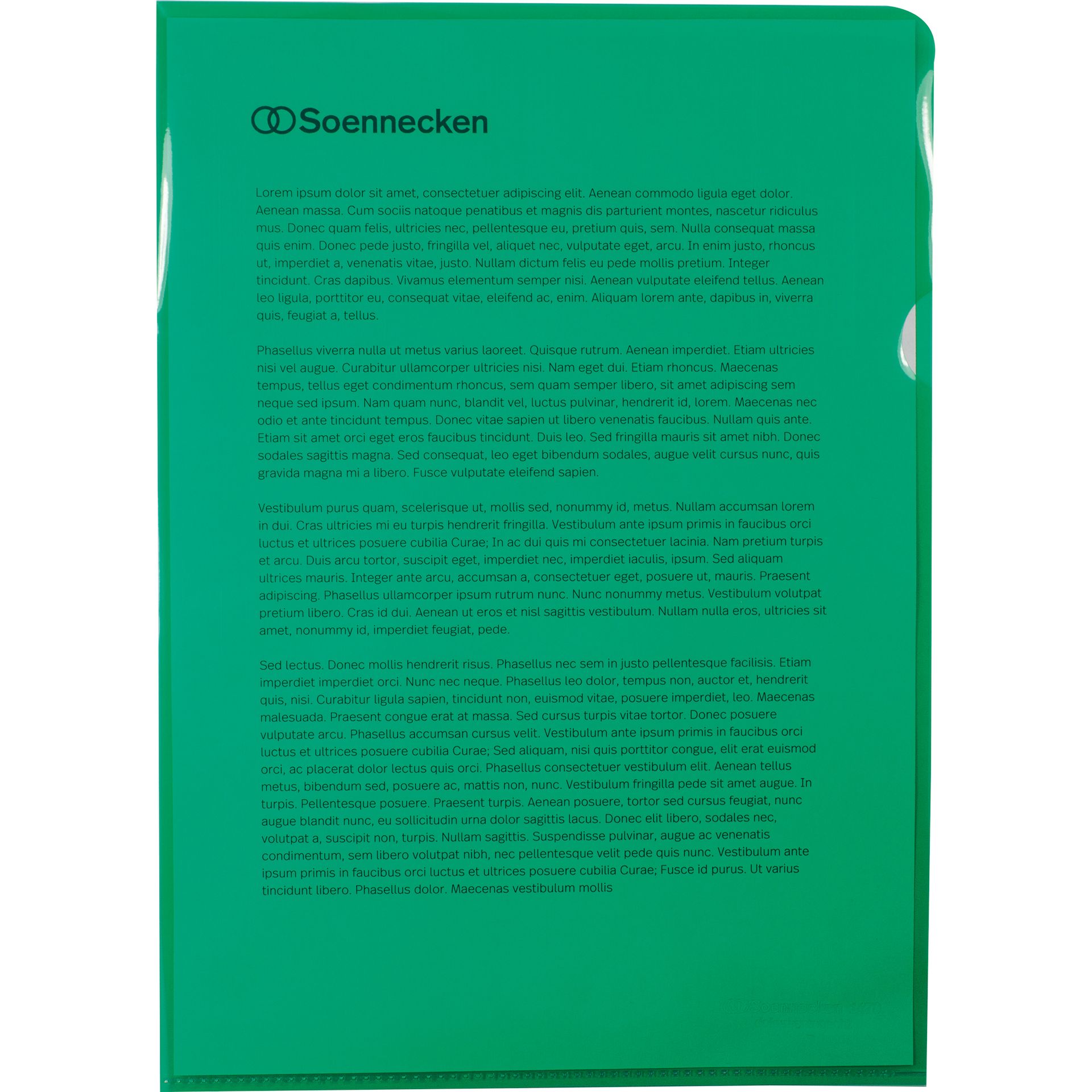 Sichthülle DIN A4 PP grün 50 St./Pack.