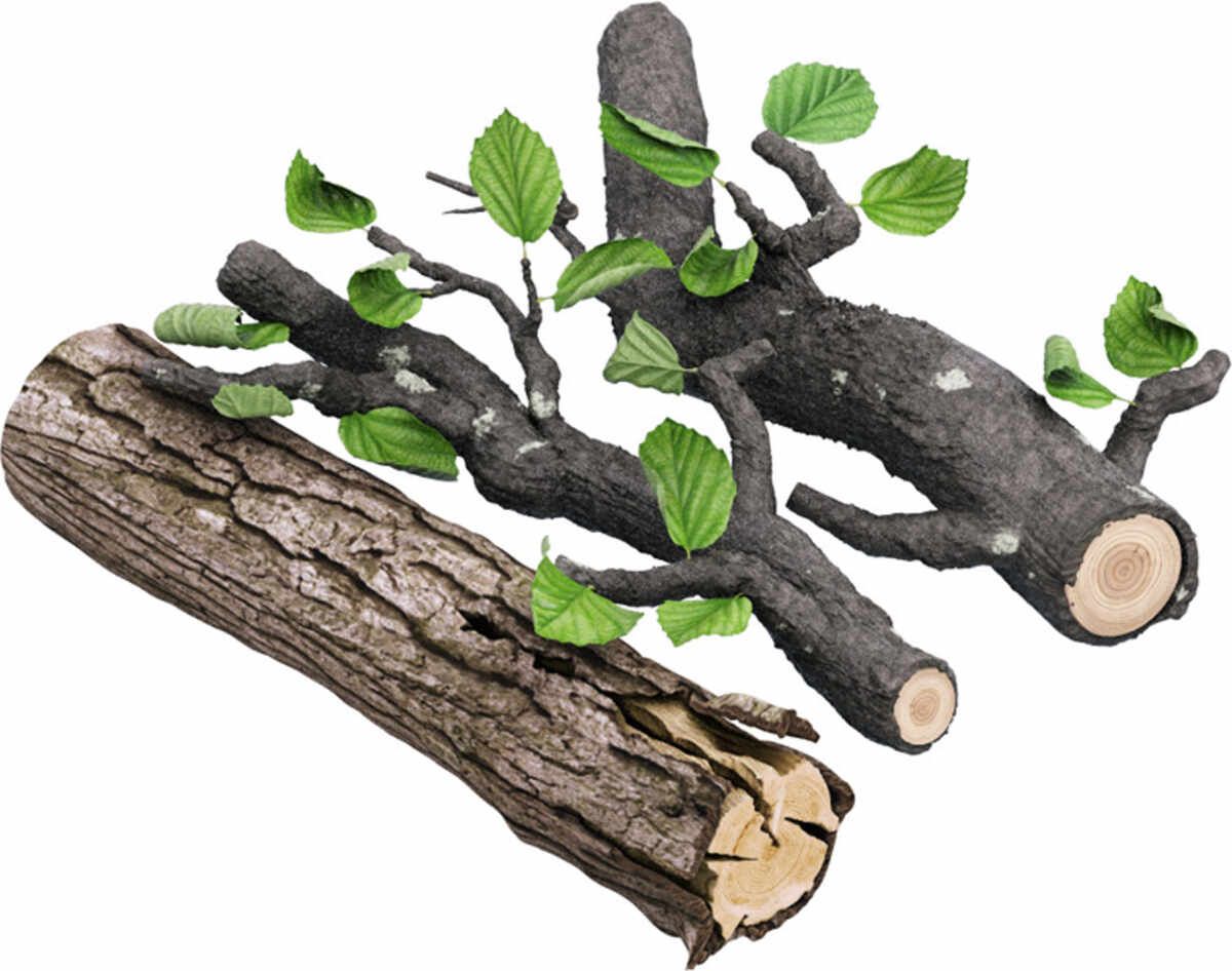 Säbelsägeblätter HCS/CV Holz S1531L