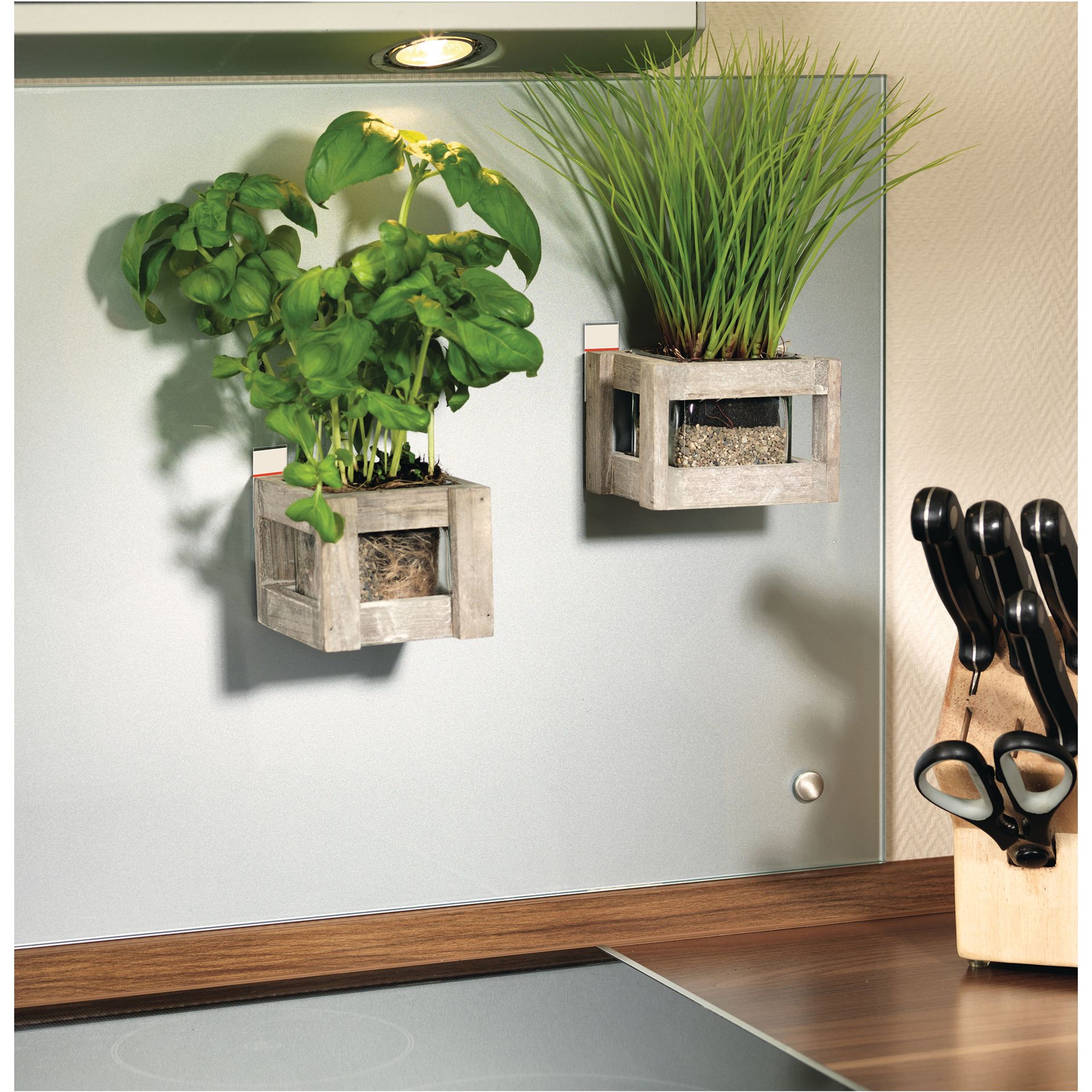 Klebestücke Powerstrips Large  81x15mm ws 10St
