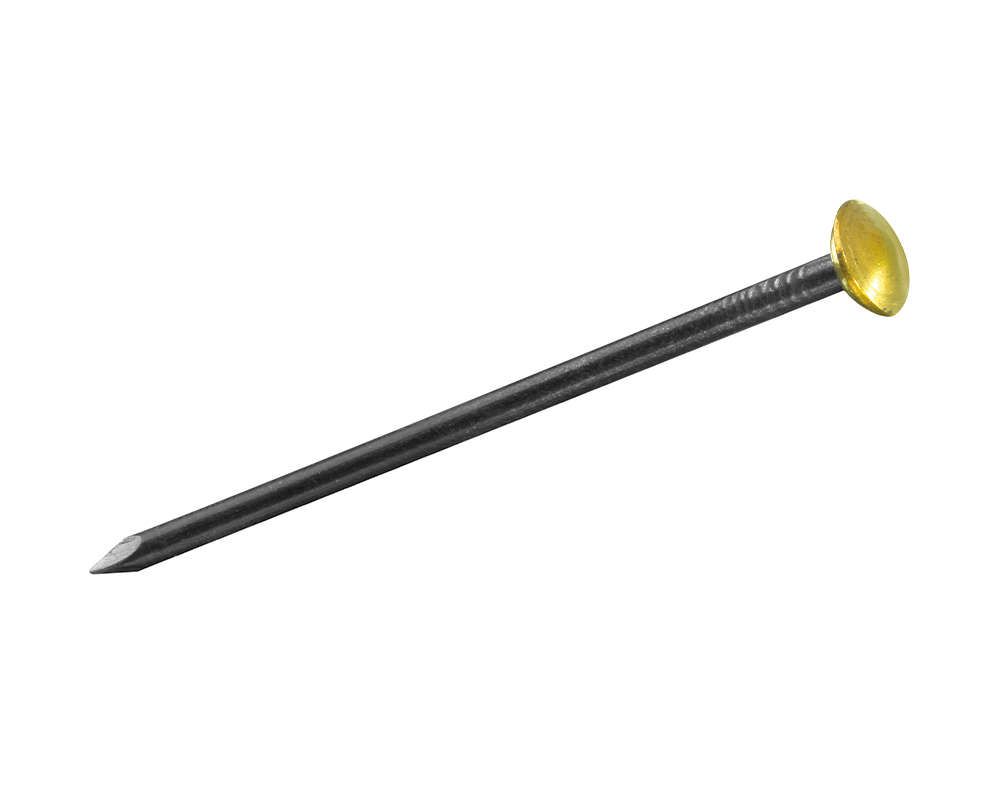 Bildernägel mit Kapselkopf Stahl 2,0 x 30 mm