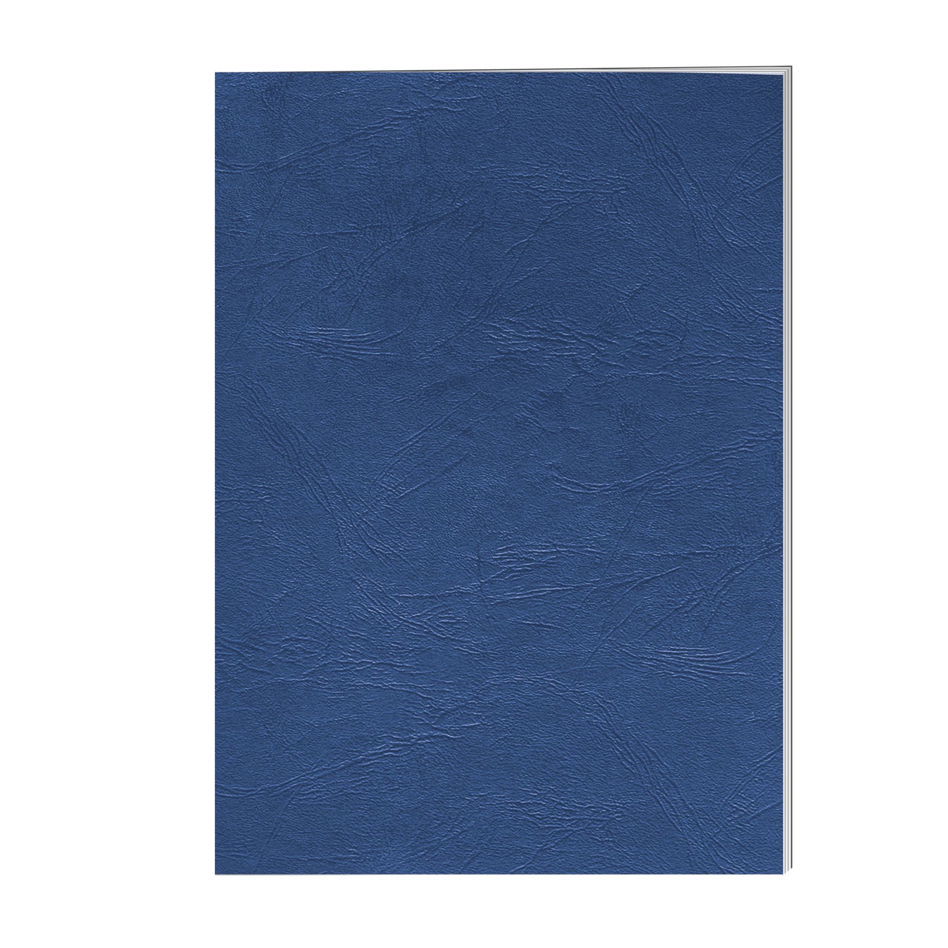 Deckblatt Delta DIN A4 blau 100 St./Pack.