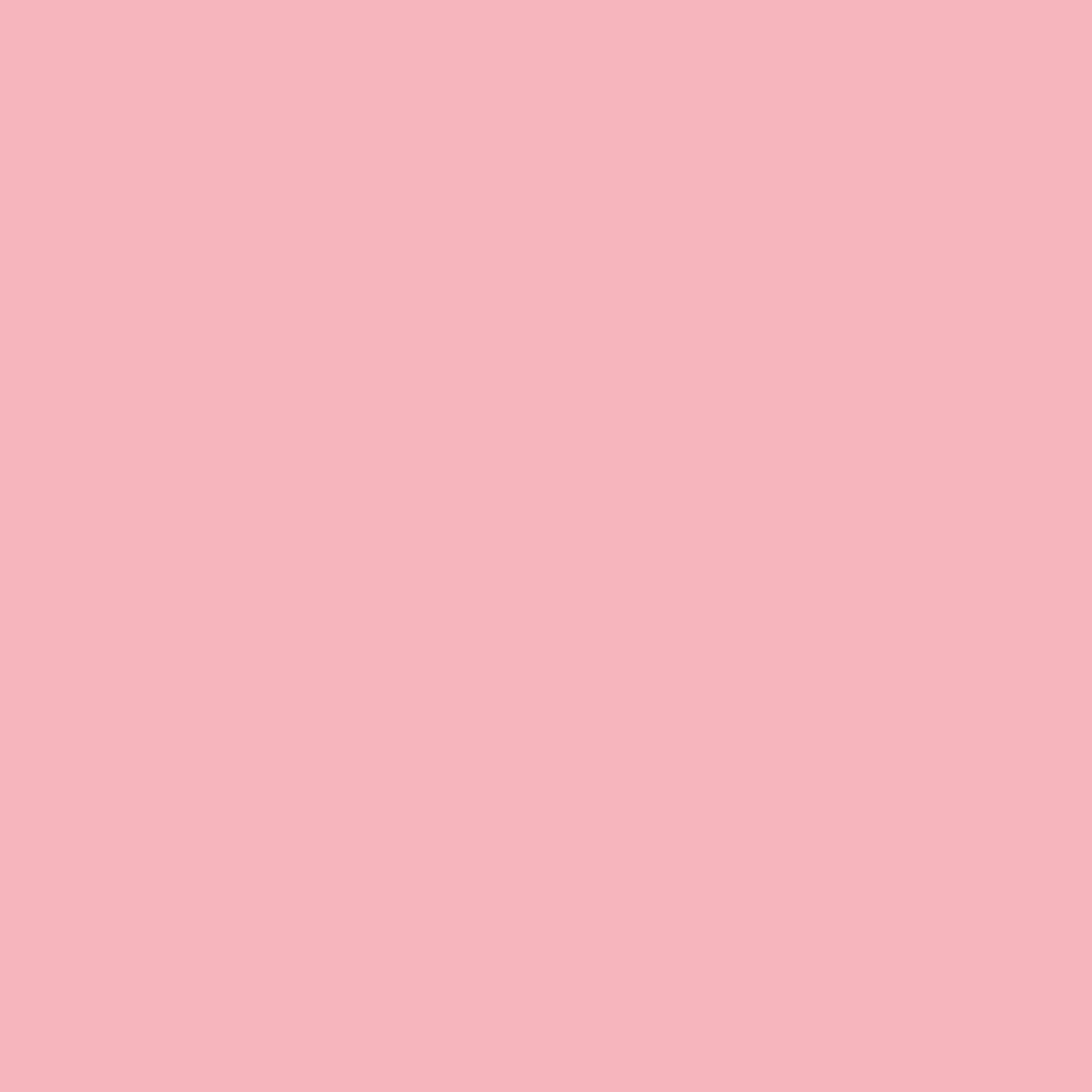 Fotokarton 50x70cm 300 g rosa 25 St./Pack.
