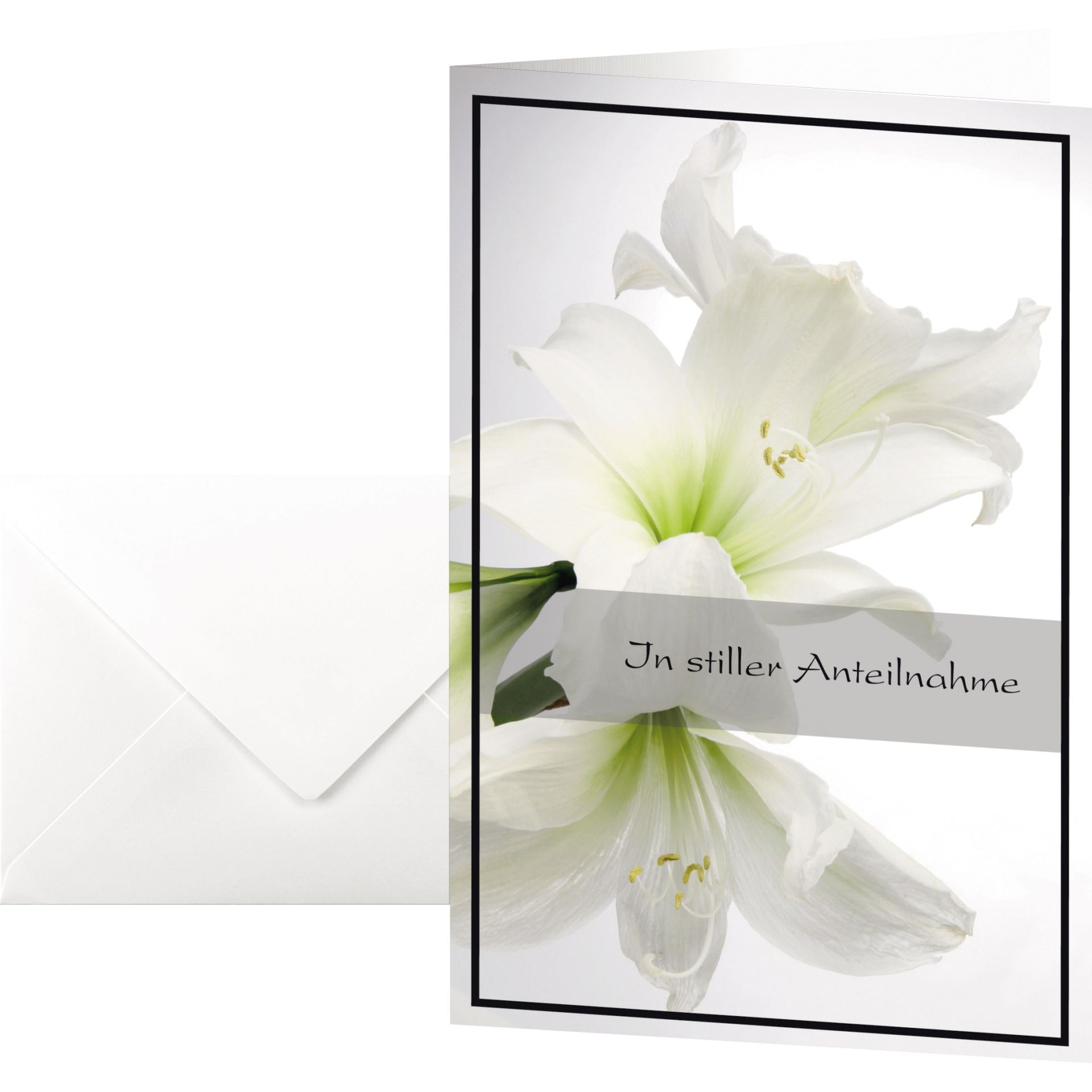 Trauerkarte Amaryllis  11,5x17cm 10St +Umschläge