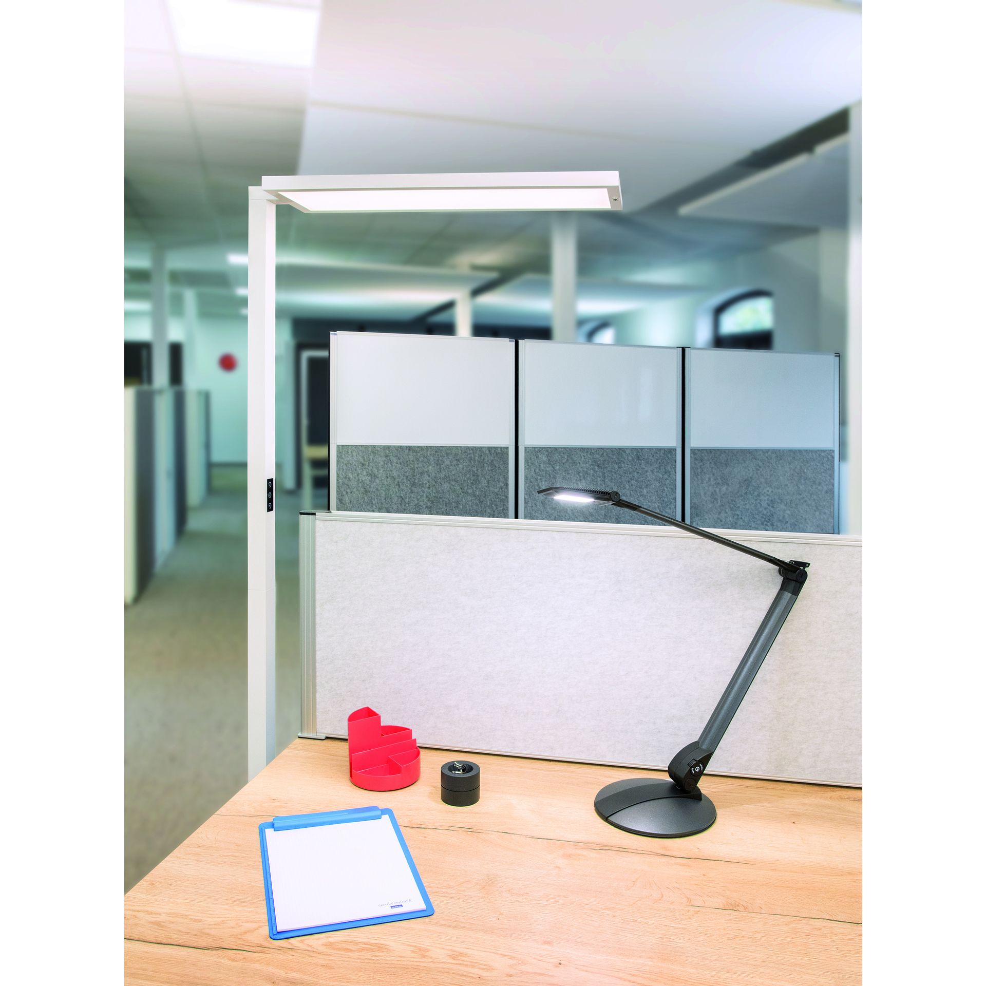 Standleuchte MAULsenja LED ws