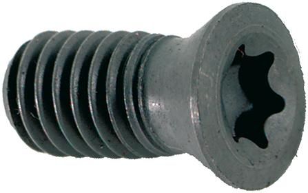 Spannschraube M2,5x5 T08 FORMAT