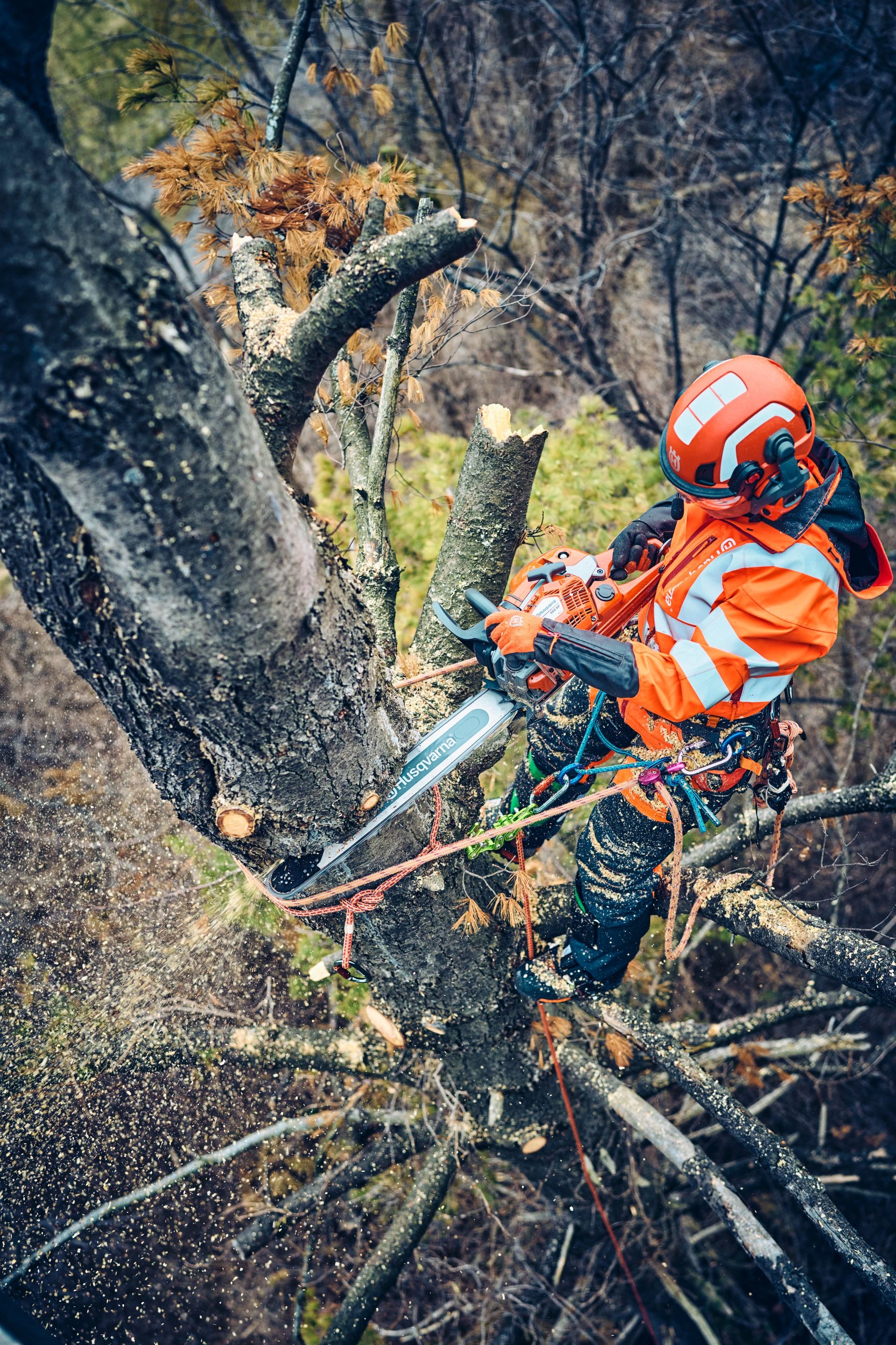 Husqvarna Motorsäge 560 XP® G Mark II 18"