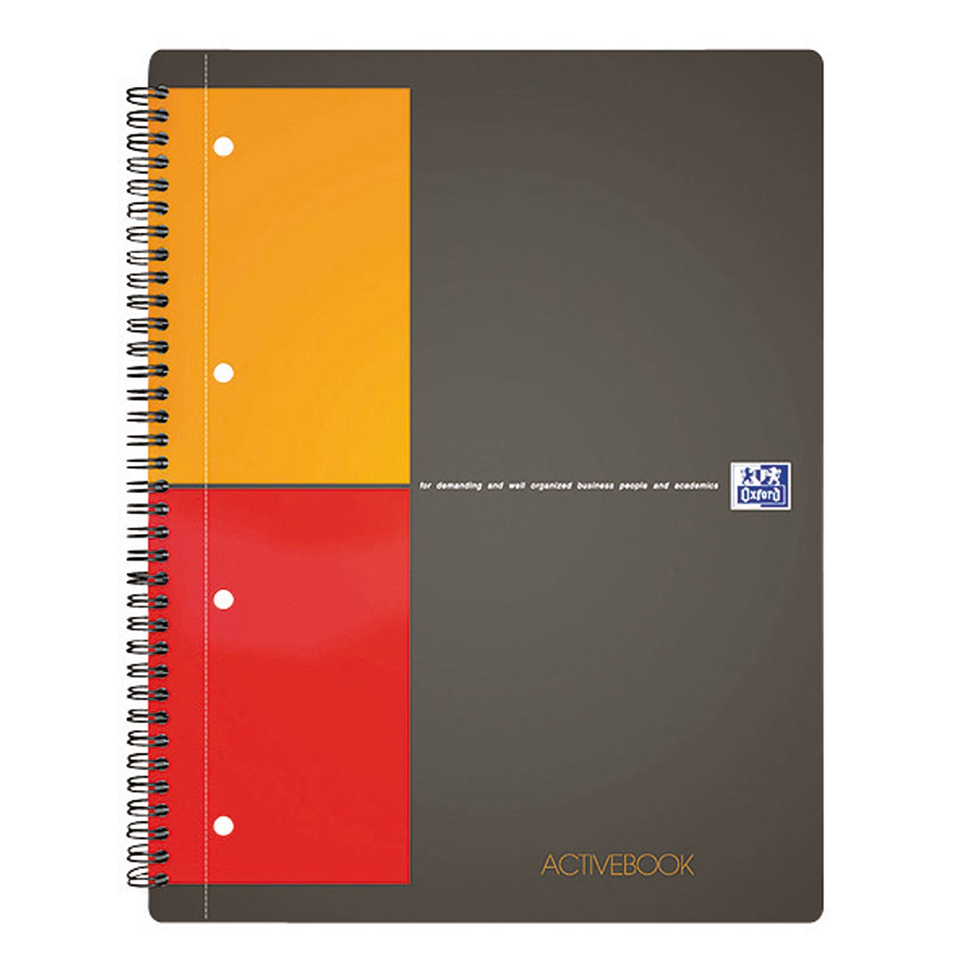 Collegeblock Activebook DIN A4+ 80Blatt kariert