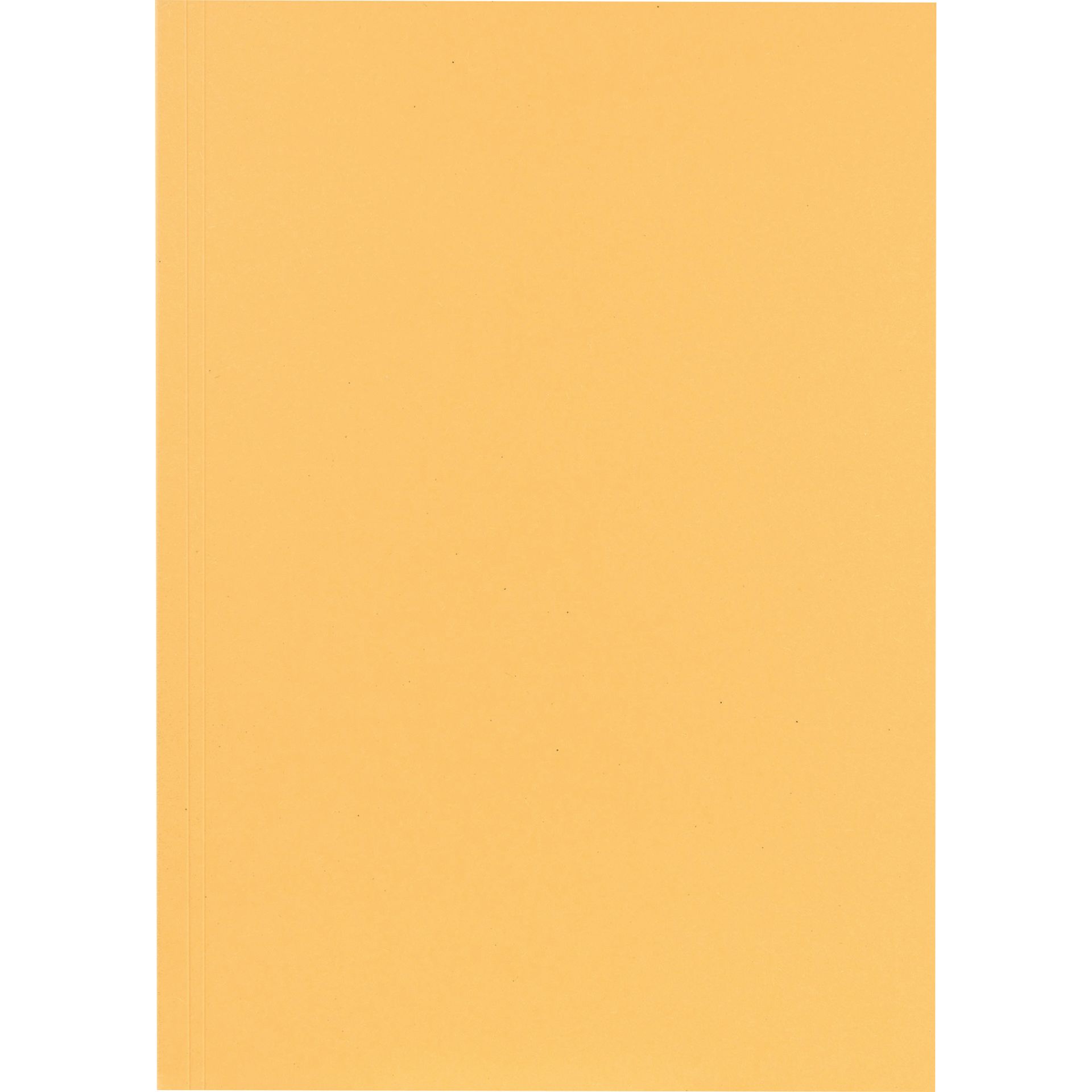 Aktendeckel 23x31,8cm 250g ch 100 St./Pack.