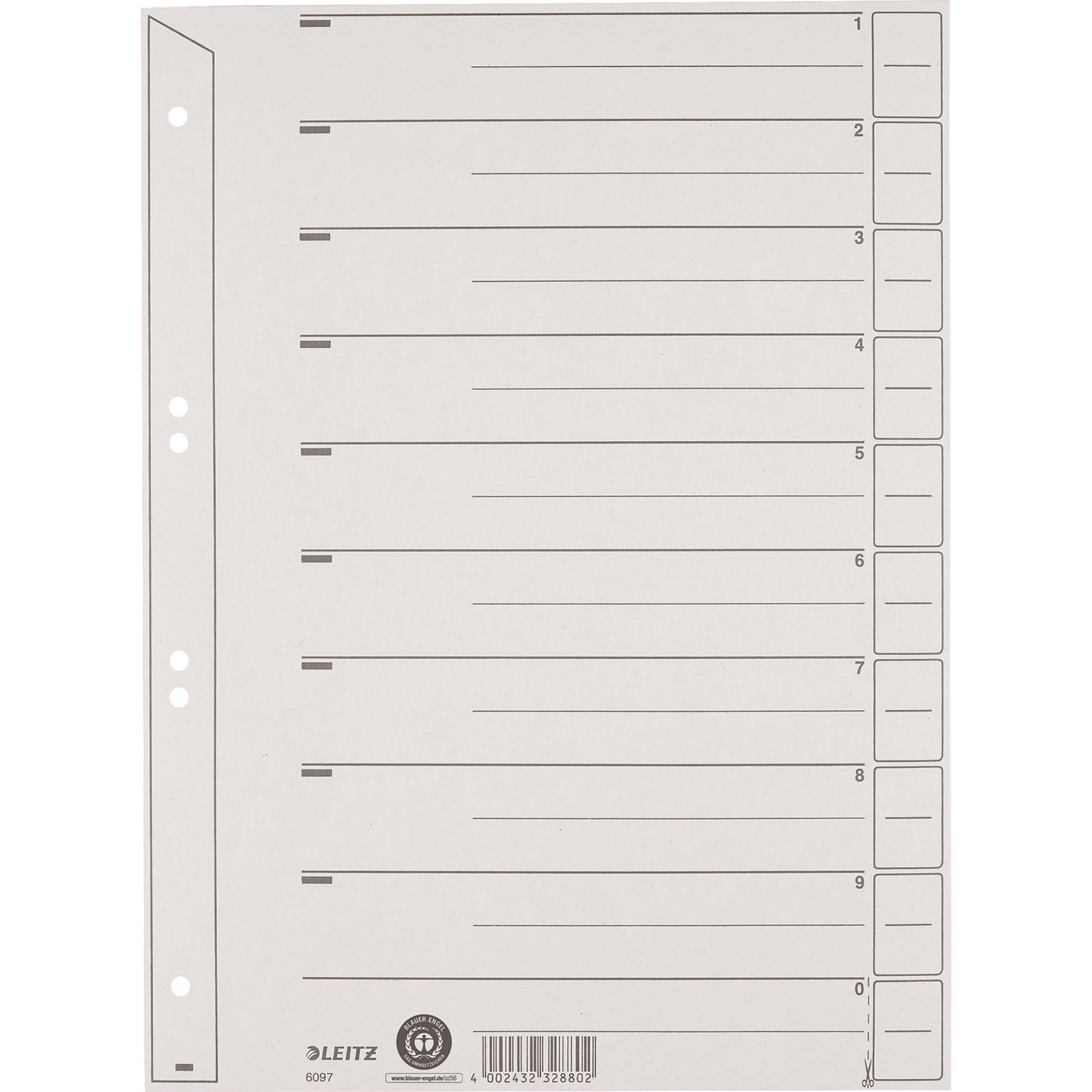 Trennblatt A4 200g Karton gr 100 St./Pack.