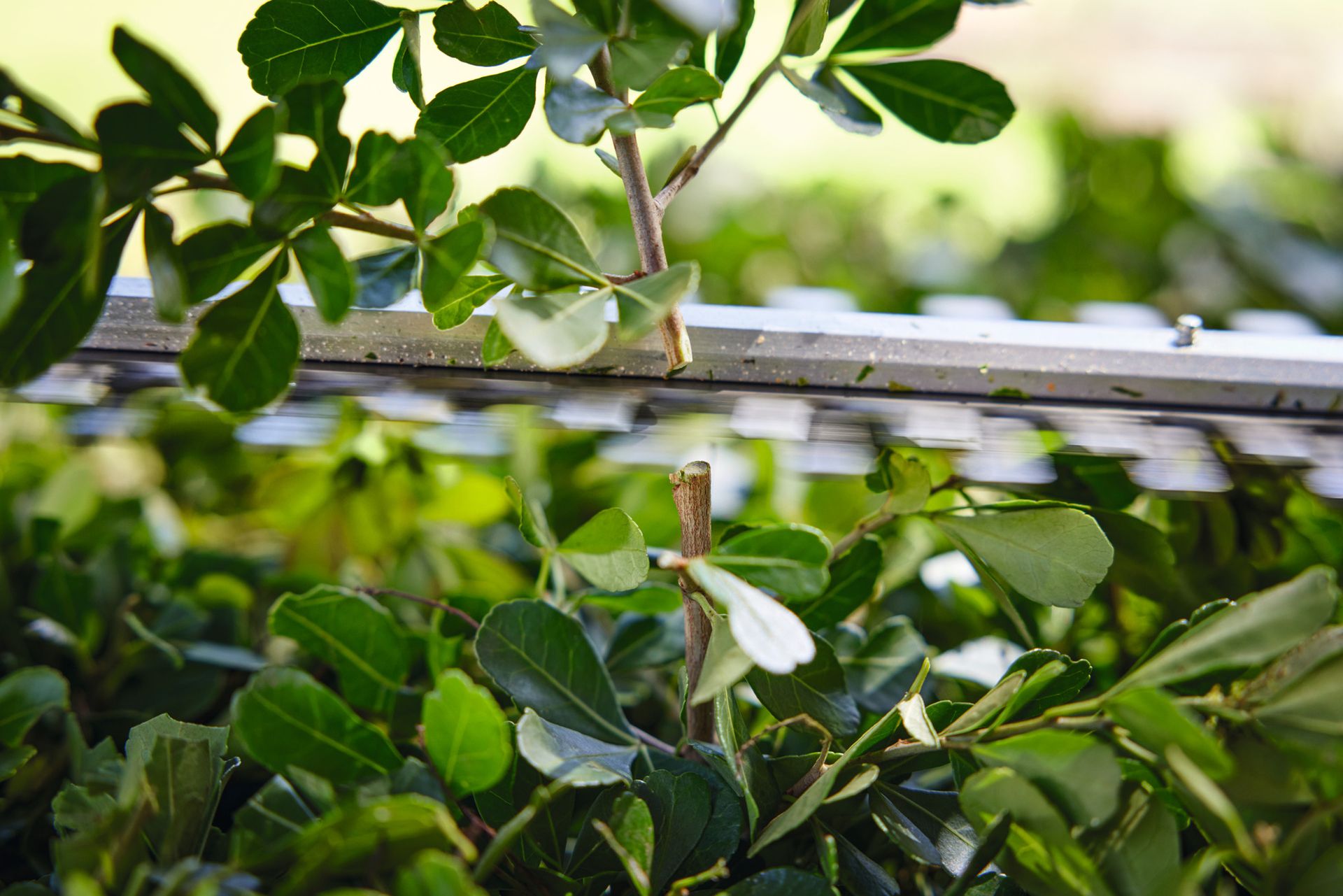STIHL Akku-Heckenschere HSA 40