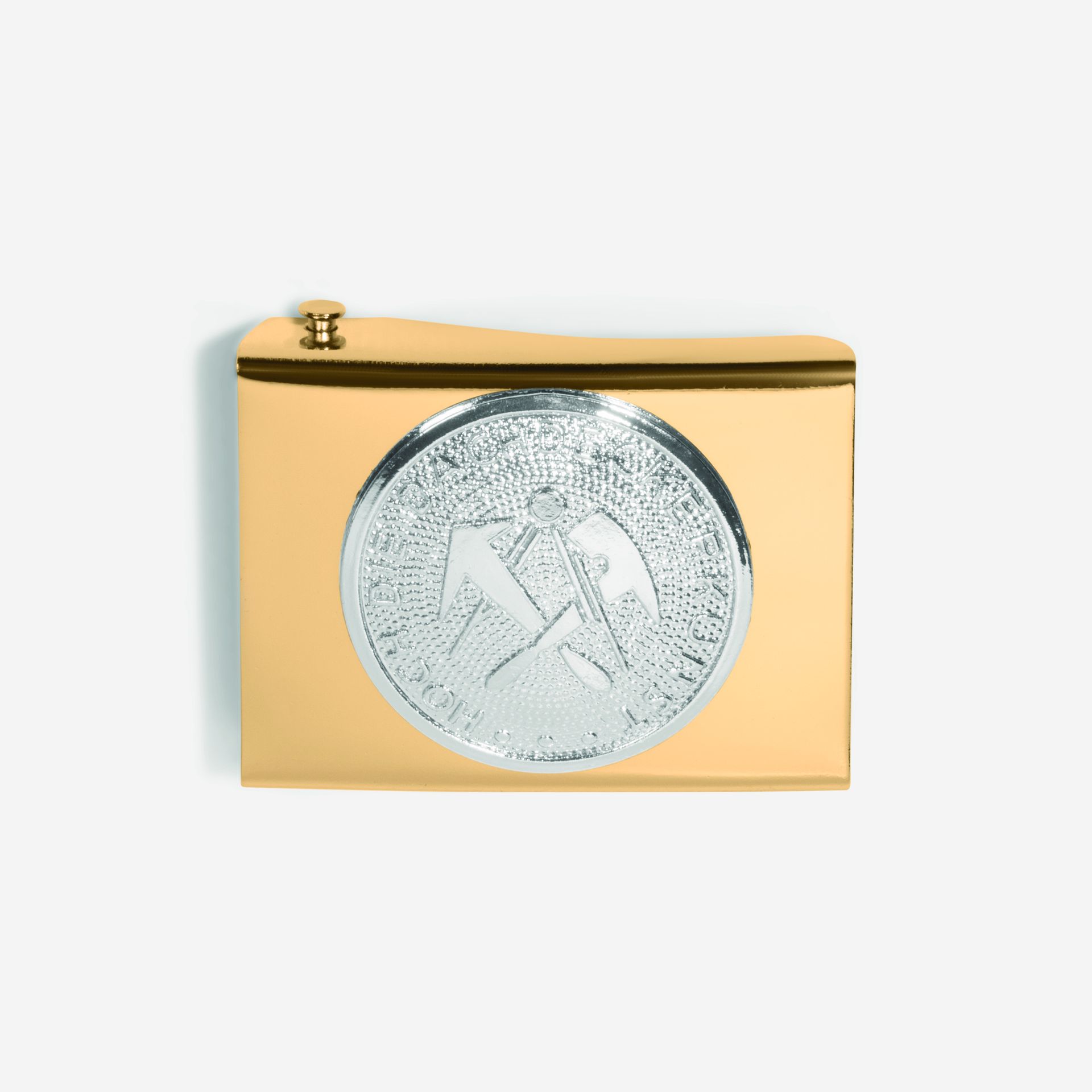 EIKE Koppelschloss Gold Dachdecker gold OSI