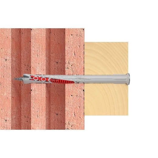 Fischer Rahmendübel 10X100T