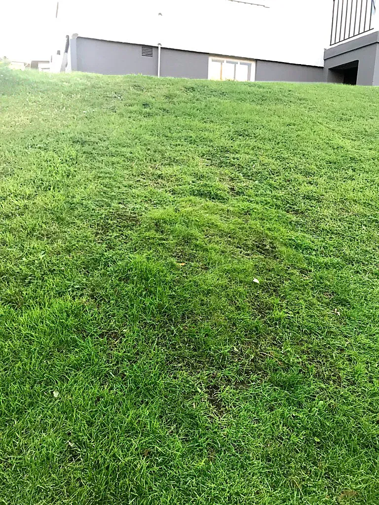 Husqvarna Automower® Hybrid-Gras Kit 1x1 m