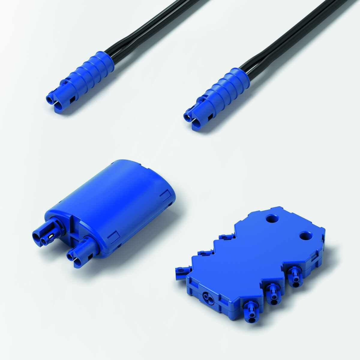 LED 2-fach Verteiler MP2 24VDC 24VDC max. 8A